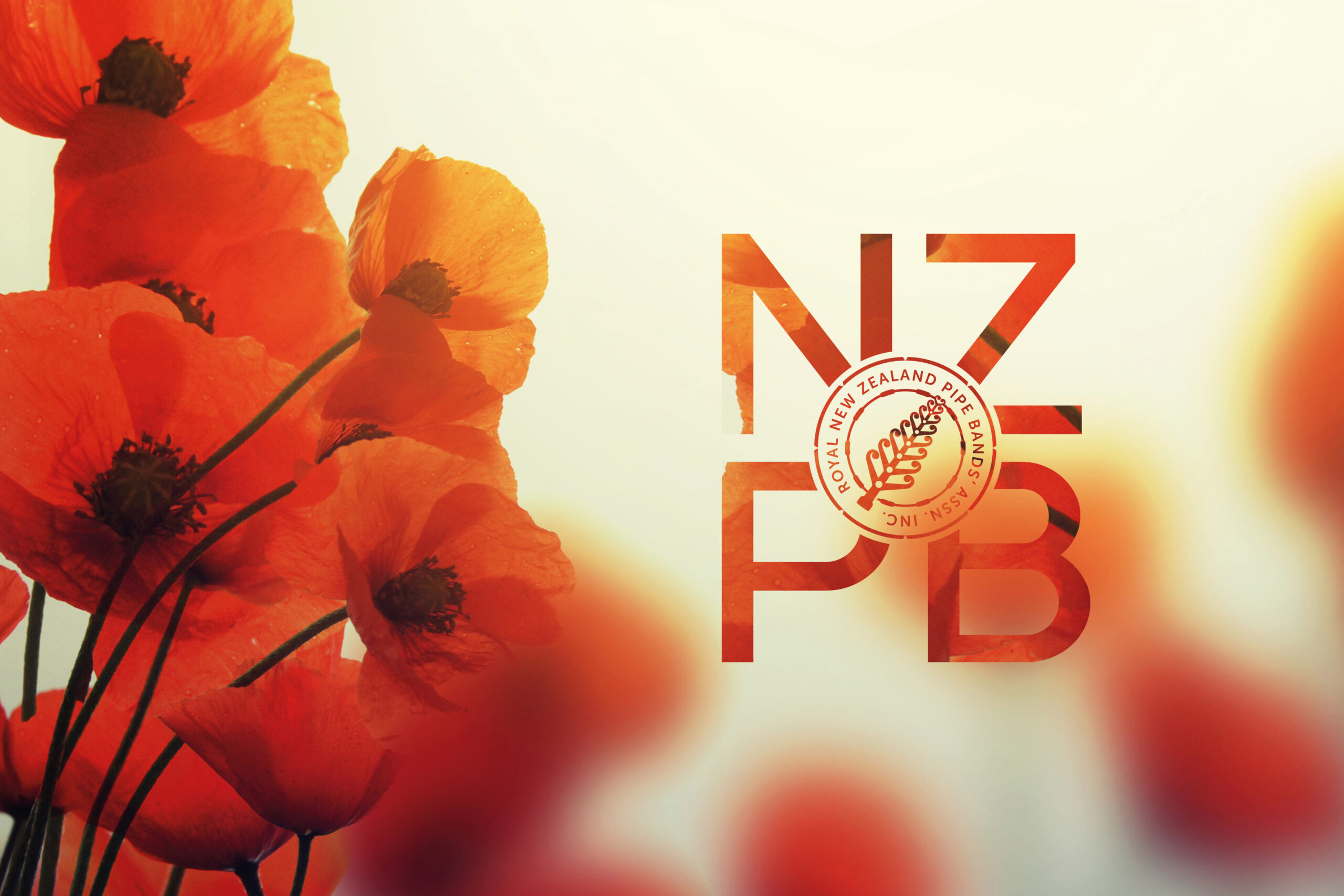 NZPB May edition released!